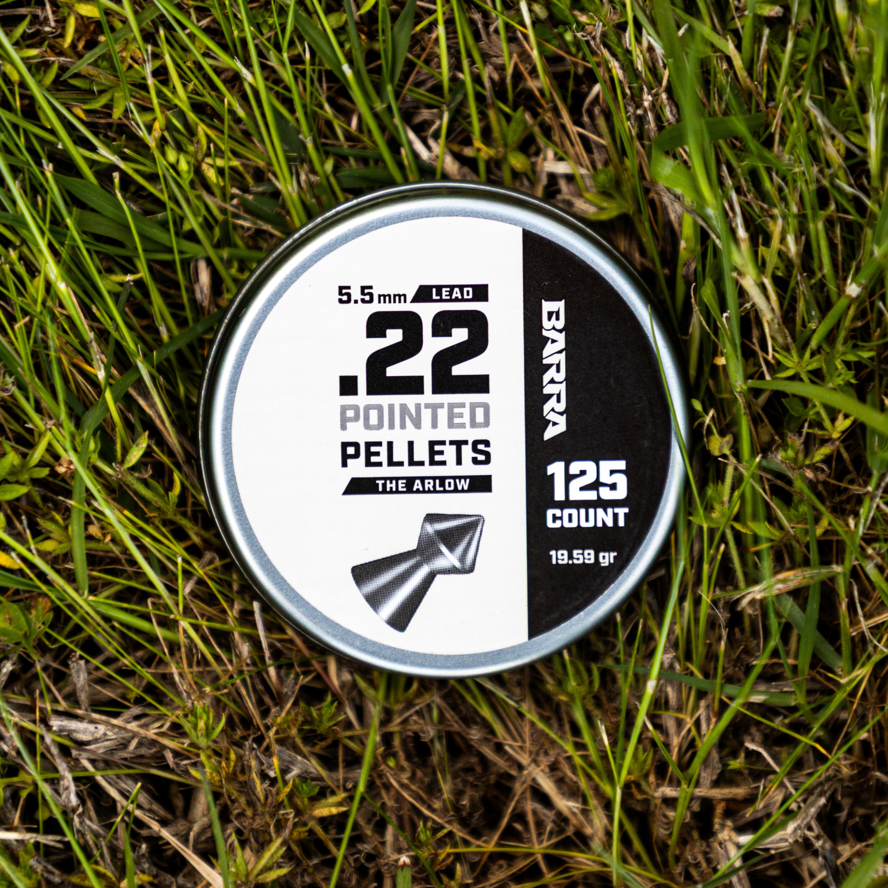 Arlo 尖头 .22 口径子弹 - 125 颗
