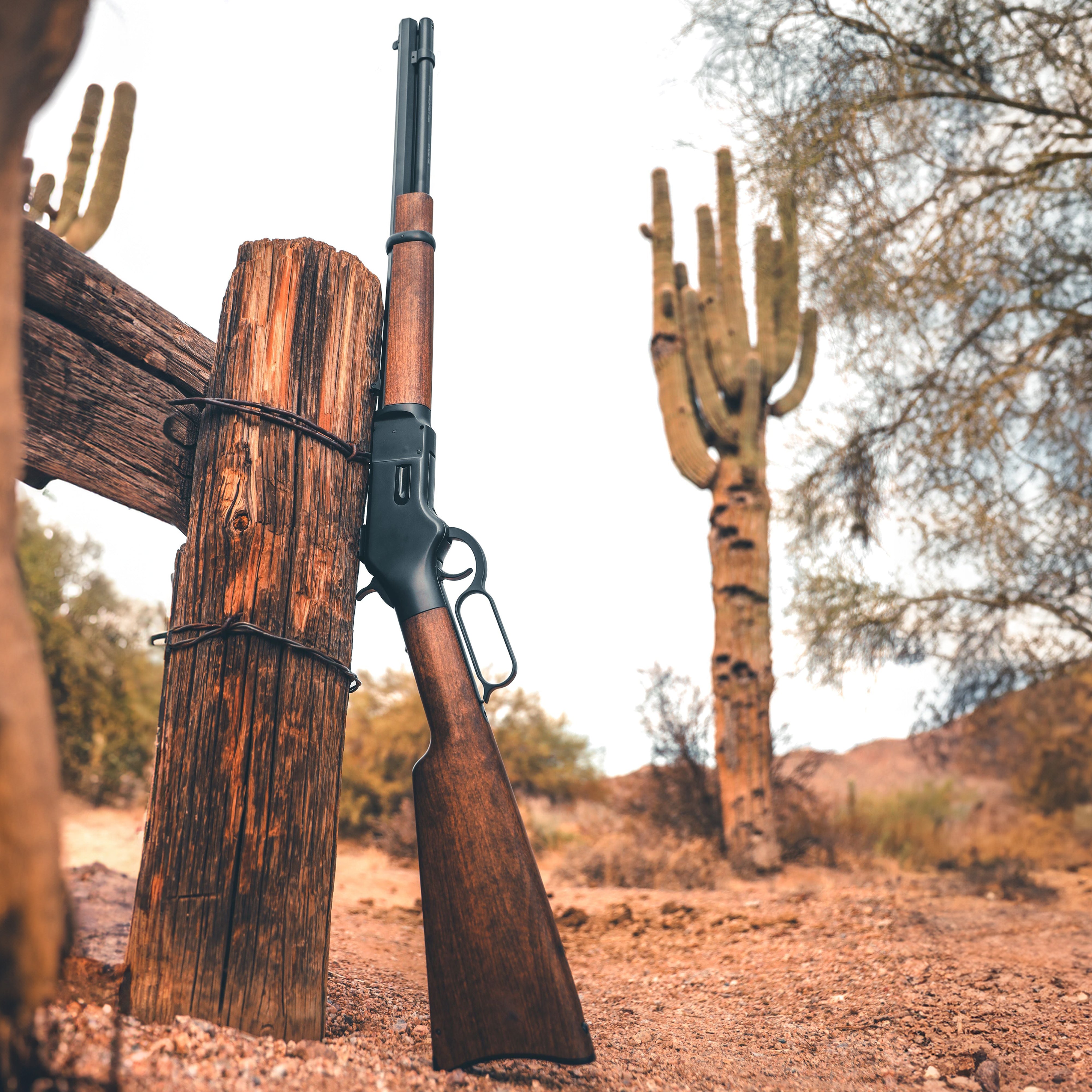 1866 CO2 .177 - Black