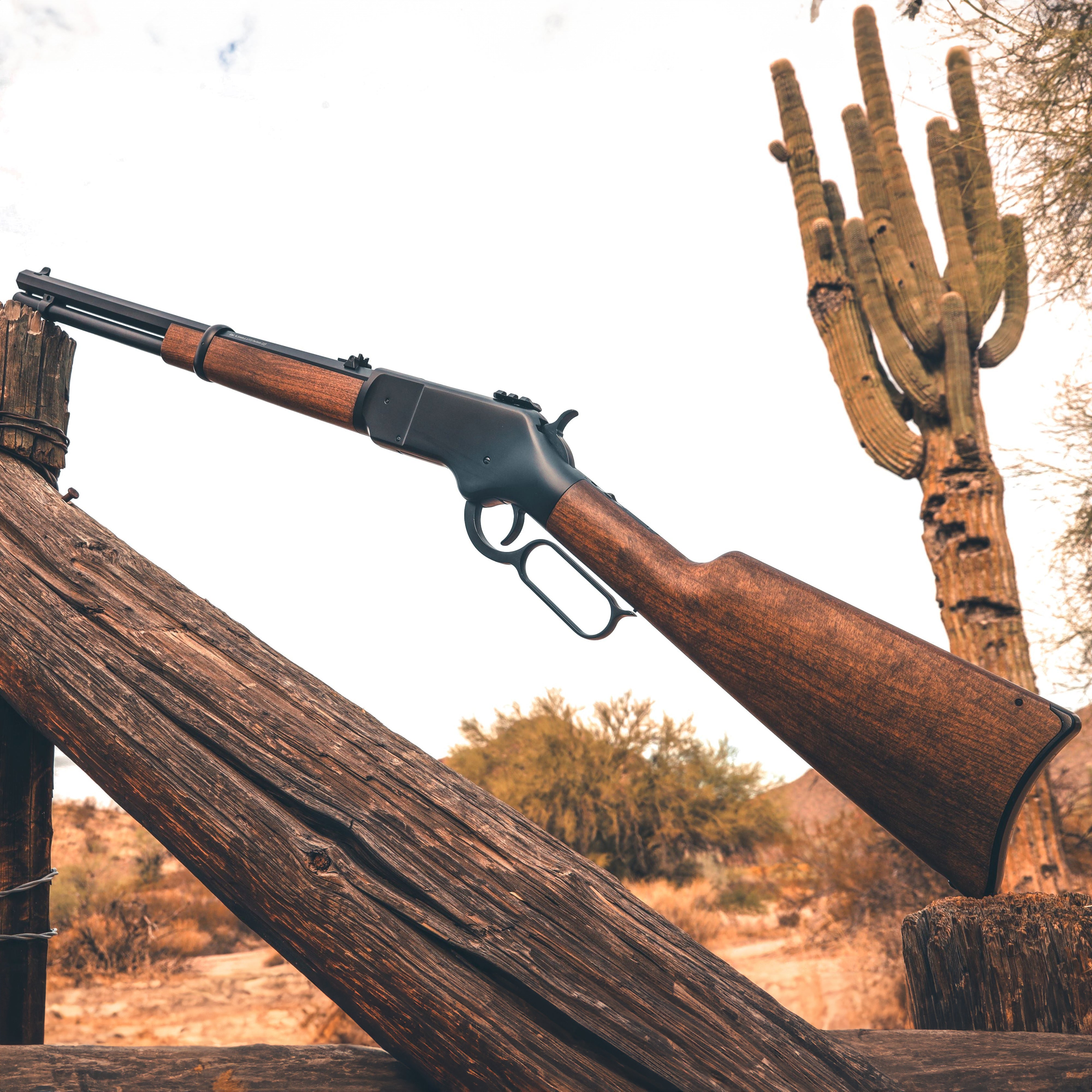 1866 CO2 .177 - Black (Bundle)