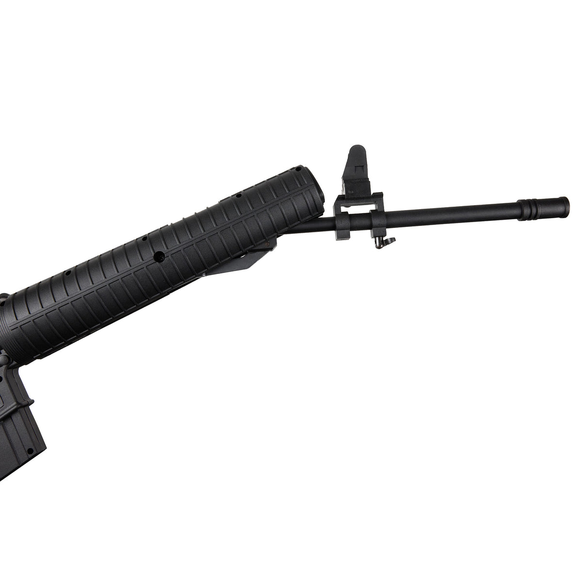 AR .22 - Black