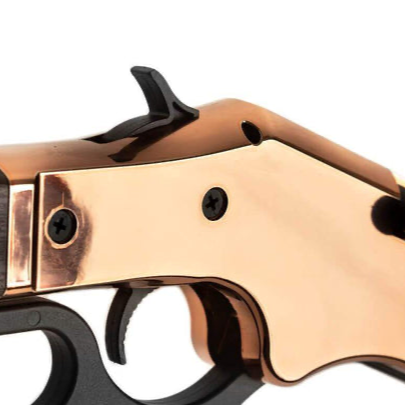 1866 Rosie 气枪接收器套装