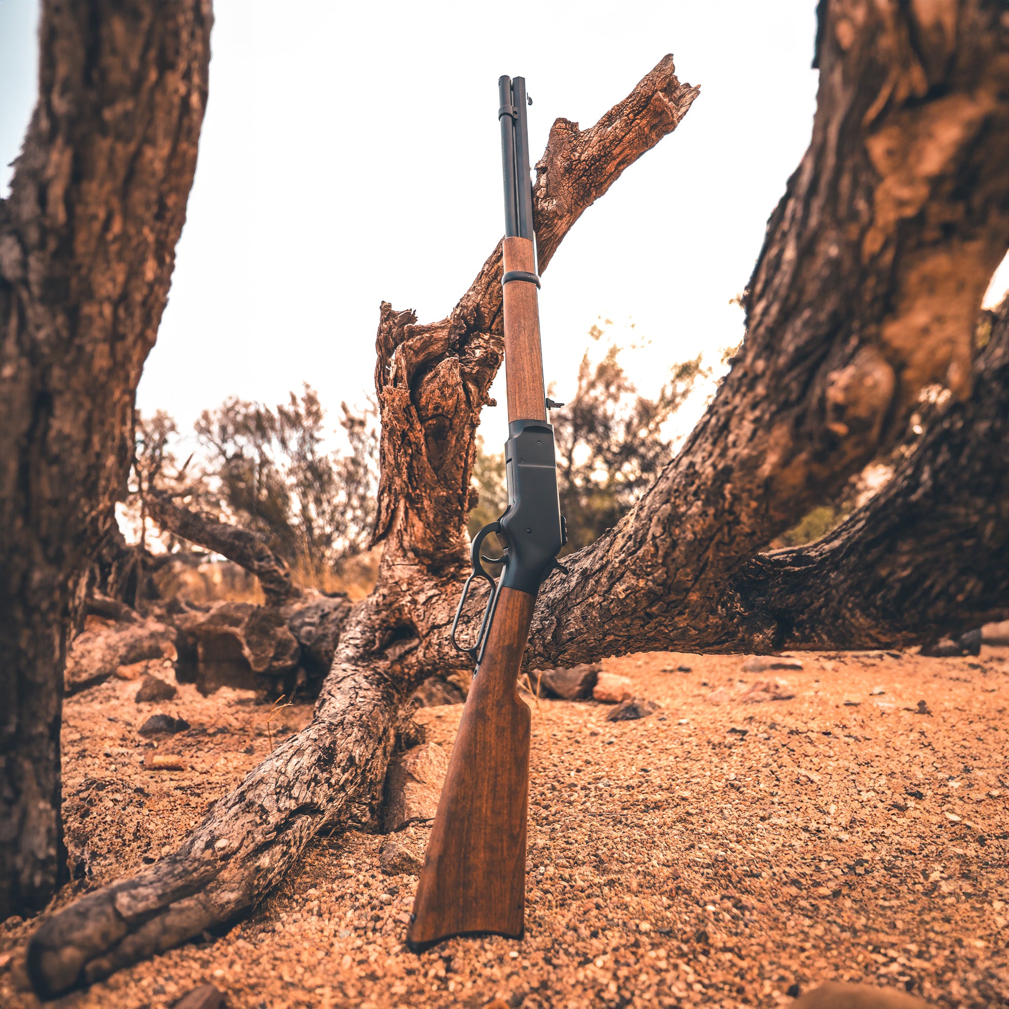 1866 CO2 .177 - Black (Bundle)