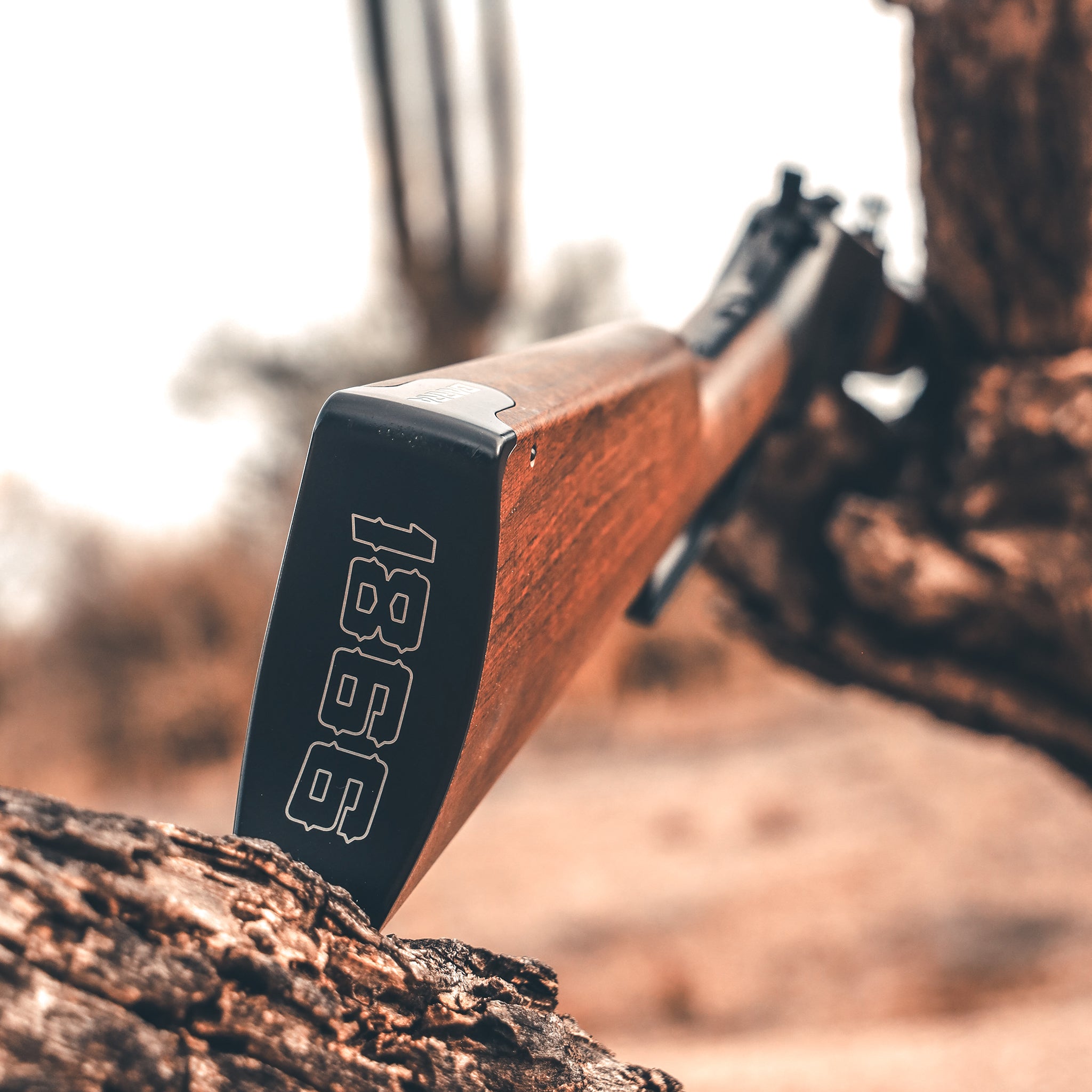 1866 CO2 .177 - Black (Bundle)