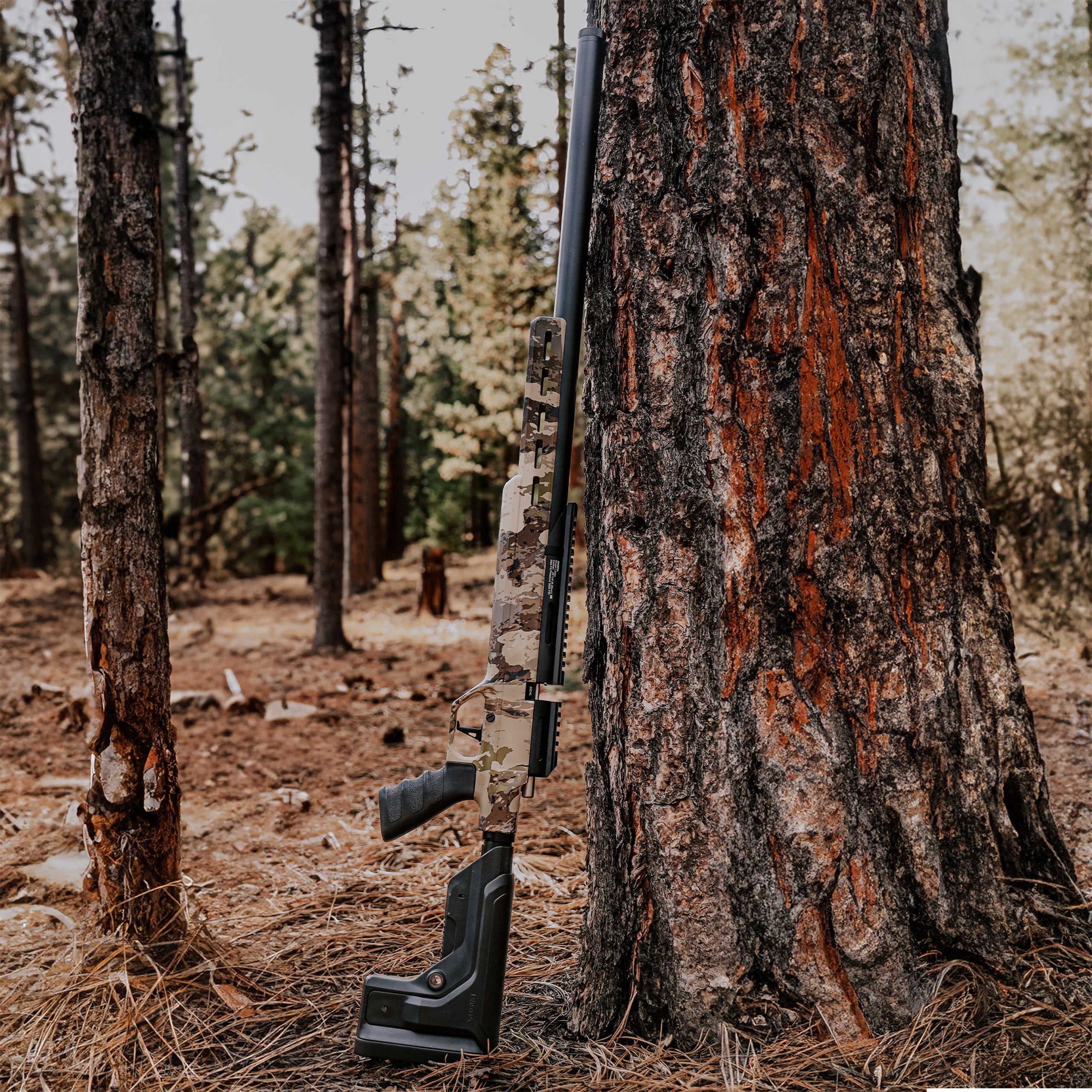 250z .22 - Veil Camo Cumbre (Bundle)